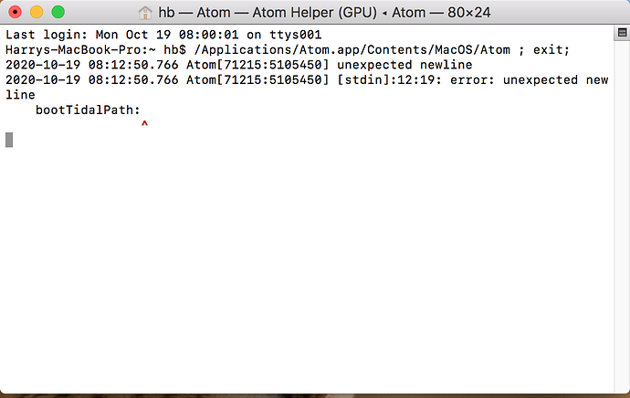 Shot of atom package contents in terminal